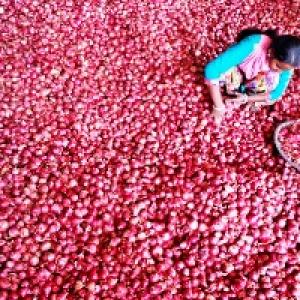 Traders urge govt to slash onion MEP to $300/tonne