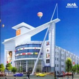 DLF scrip up 5%; m-cap swells by Rs 2,148 cr
