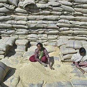Assam ready to implement food security ordinance in 6 months