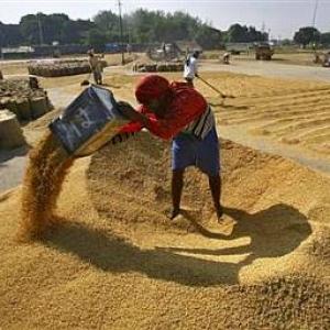 India hopes food security issues will be resolved at Bali meet