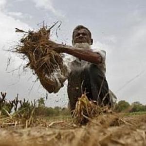 Few flaws that are plaguing India's agriculture