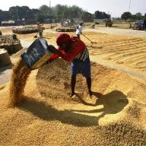 Global food prices drop 1.6% in 2013