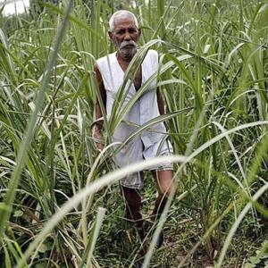 Why Rahul is wrong about the Indian farmer