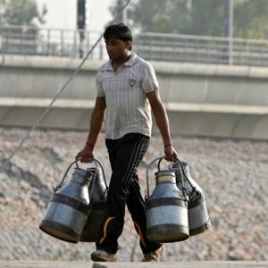 Delayed monsoon hits dairies, souring inflation outlook
