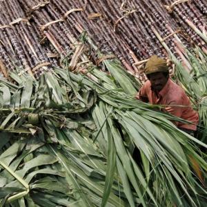 Centre to announce Rs 8,000cr package for sugarcane farmers