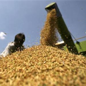 Food law adrift as government trims grain purchases