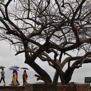 Monsoon hits Kerala, 1 dead due to heavy rains