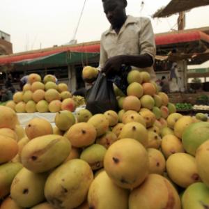 Relishing mangoes this summer will cost you 50-65% more, says a study
