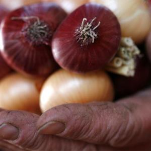 The curious case of onion prices and Bihar elections