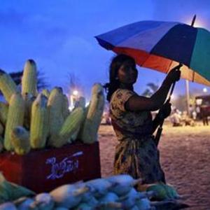 Tamil Nadu, Kerala lead surge in financial inclusion