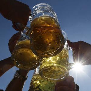 Beer, whisky may come under food regulator's lens