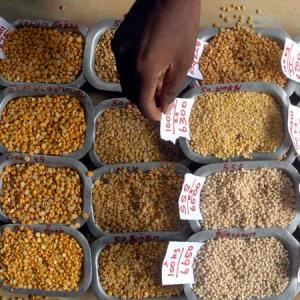Government acts against hoarders, over 5,800 tonnes of pulses seized