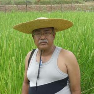 A Manipur farmer grows black rice that cures cancer