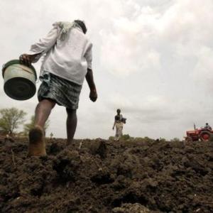 Scanty rain in June hits sowing of kharif crops