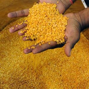 Why tur dal has suddenly become CHEAPER