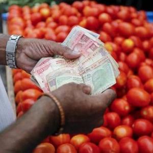 No respite for 'TOP' farmers: Tomato prices crash