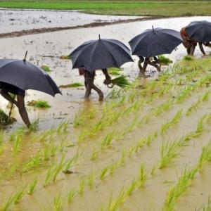 In a relief to farmers, Skymet predicts normal monsoon