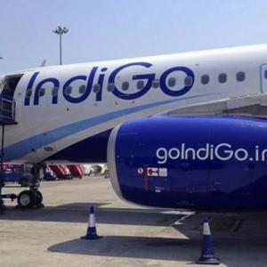 IndiGo no more in race to buy Air India