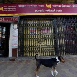 CAs' body asks govt help in accessing PNB fraud data