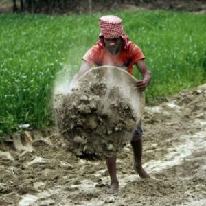 Will MGNREGA end up subsidising private farm labour?