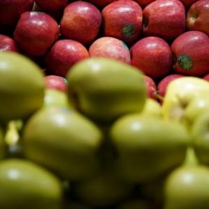 Apples, almonds, walnuts from US to attract 50% higher tax