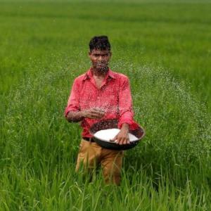 Rains to hit paddy yield in north India
