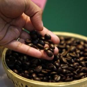 Coffee prices up 10.1%; trend likely to continue