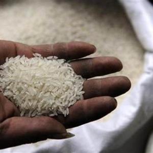 Non-basmati rice export falls as tax sops are removed