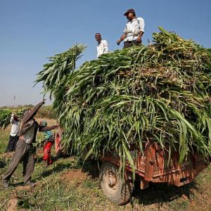 Data on India's burgeoning farm exports is not correct