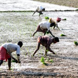 RSS outfit: 'Farm law gives corporates upper hand'