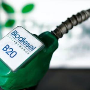 Hurdles India faces in biofuel use