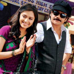 Nagarjuna returns with Kedi