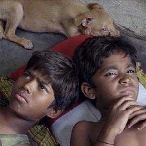 Review: Kaaka Muttai is brilliant