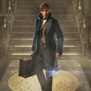 Fantastic Beasts and Where to Find Them Review:The magic is back!