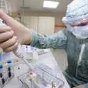 Swine flu vaccine to be available by Sept: WHO