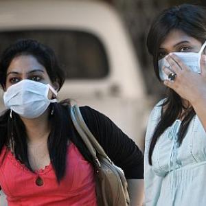 Swine flu scare continues, 3 more cases reported