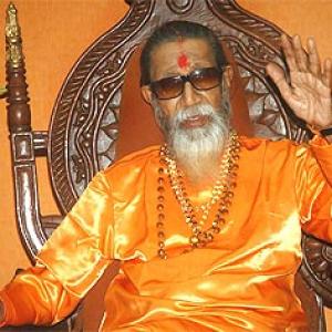 Thackeray plots a comeback to revive Sena