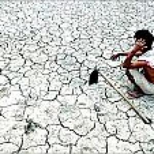 AP declared drought hit, CM seeks Rs 4000 cr aid