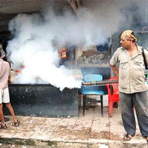 Pix: Mumbai stung by Malaria, 24 dead this year