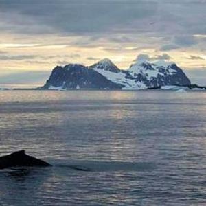 Melting Antarctic glacier spells trouble