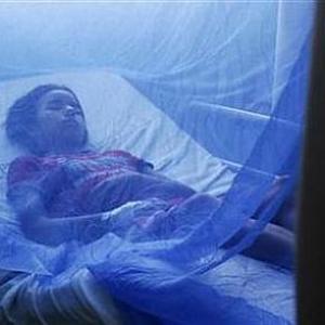 Dengue death toll rises to 15, over 2,000 affected