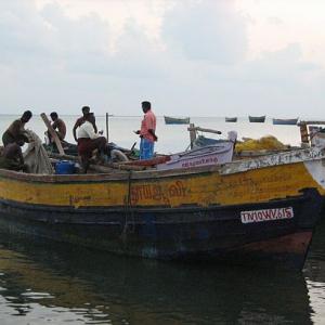 Tales of bruises and anguish from Gulf of Mannar