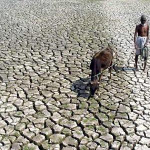 'Why is Sharad Pawar mum on nephew Ajit's drought remark?'