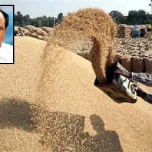 'Food bill ordinance will be ratified in monsoon session'