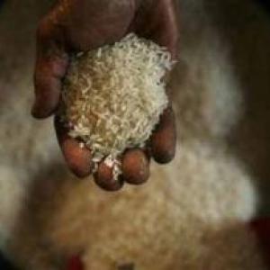 Union Cabinet defers Food Security Bill, eyes special Parliament session
