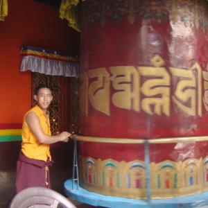 Delhi's Tibetans find their political voice