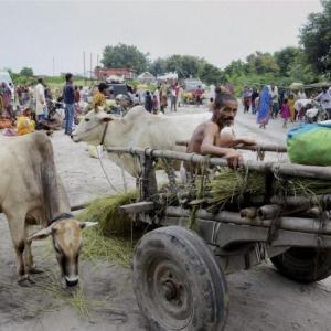 Bihar flood alert: State evacuates 17,000 people
