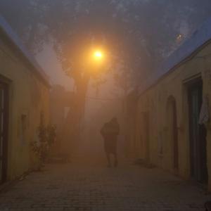 Cold wave unabated in N-India, 3 die in fog-related mishaps