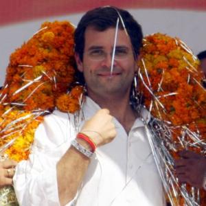 Full transcript of Rahul interview: I'm against the concept of dynasty