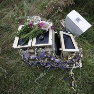 181 bodies recovered from MH17 crash site in Ukraine
